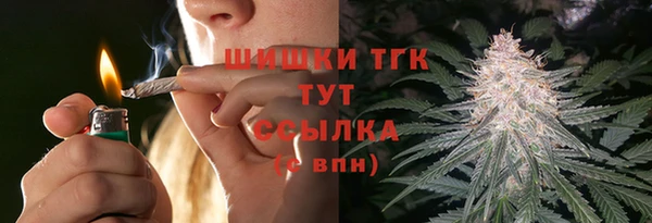 шишки Верхний Тагил